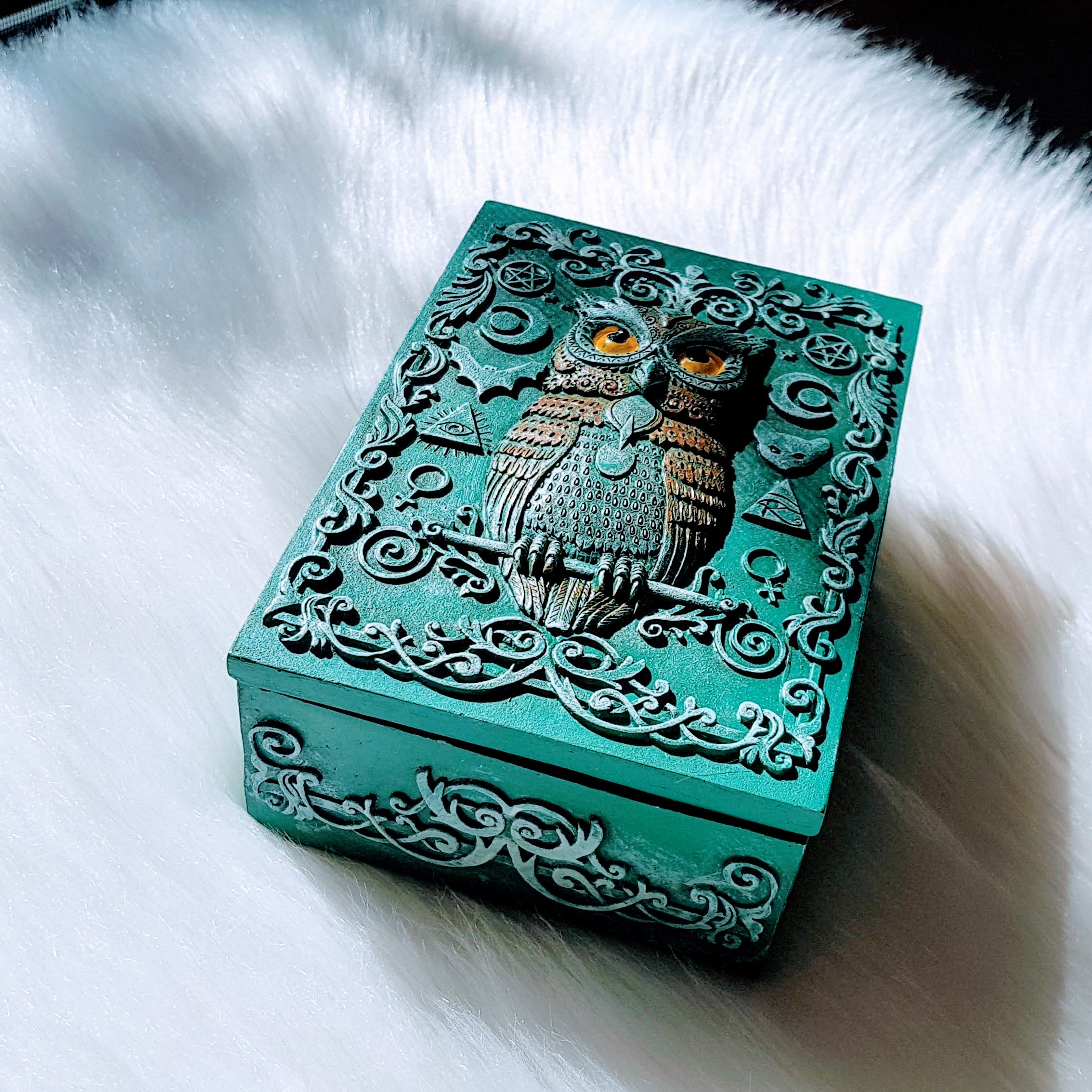 Magical Wise Little Owl Box
